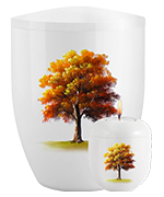 SET-3411-L