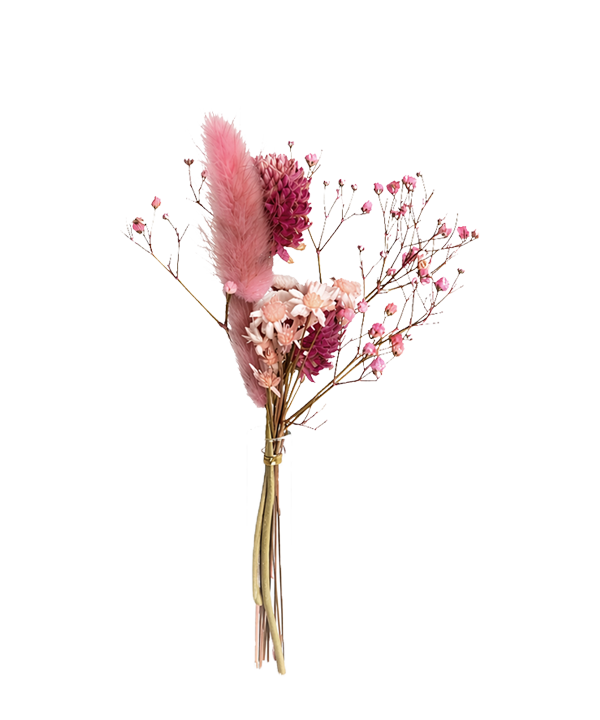 Edition Blomma