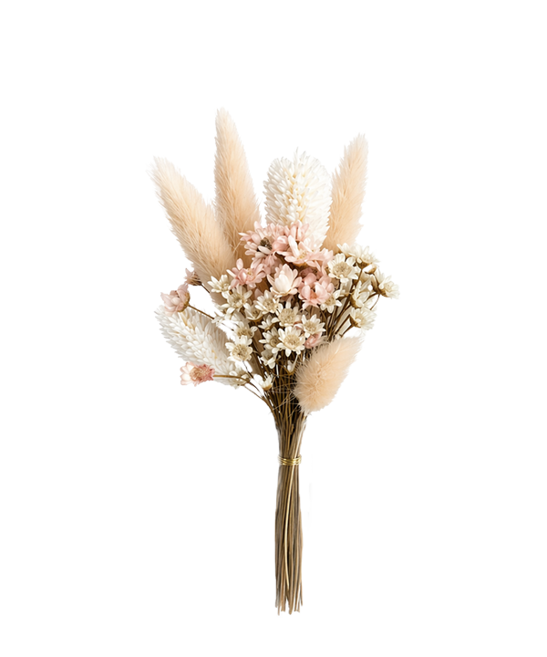 Edition Blomma
