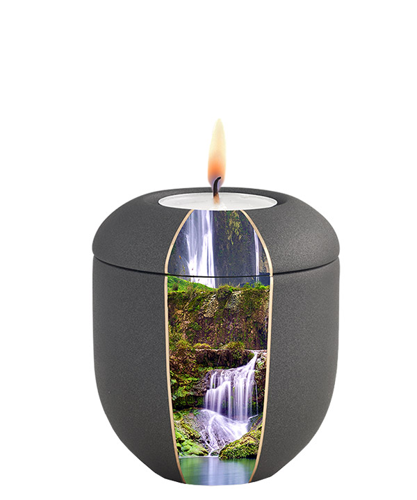 Edition Natura