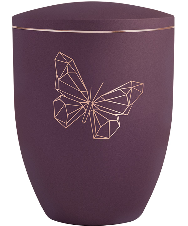 Edition Geometric