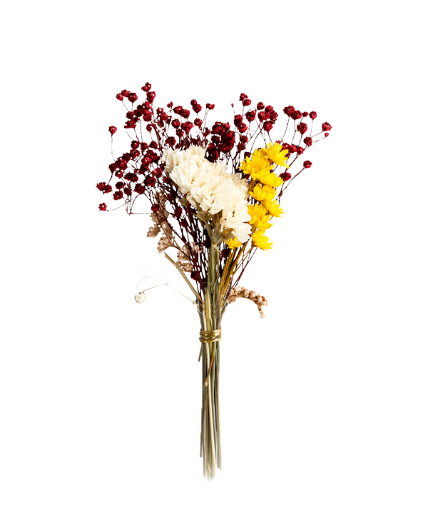 Edition Blomma