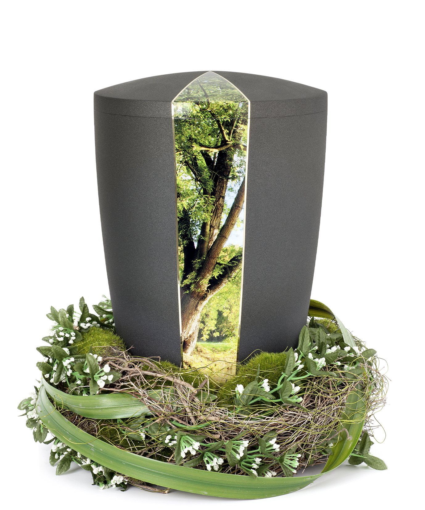 Edition Natura