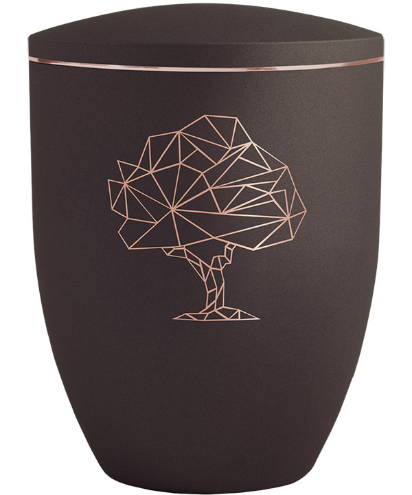 Edition Geometric