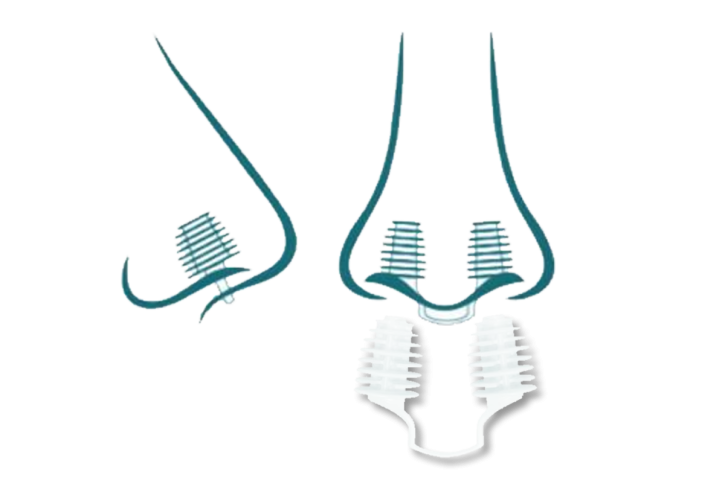 Nasenplugs gegen schlechte Gerüche